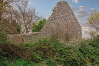 TULLY CHURCH